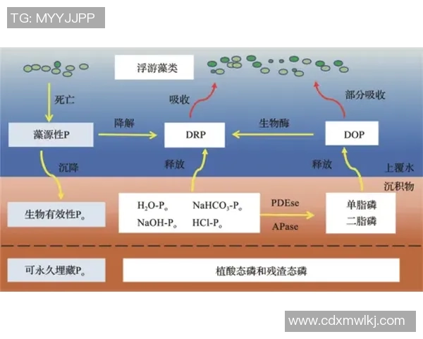 杭州乒乓球队攻势创新之路探索与实践的深度剖析与展望 杭州乒乓球队攻势创新之路探索与实践的深度剖析与展望