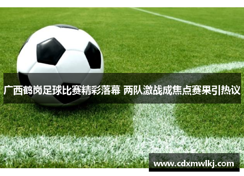 广西鹤岗足球比赛精彩落幕 两队激战成焦点赛果引热议